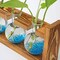 Plant Propagation Station Glass Terrarium Planter Flower Vase with Retro Solid Wooden Stand for Home Kitchen Indoor Garden Wedding Desktop Decor, 3 Bulb Vase